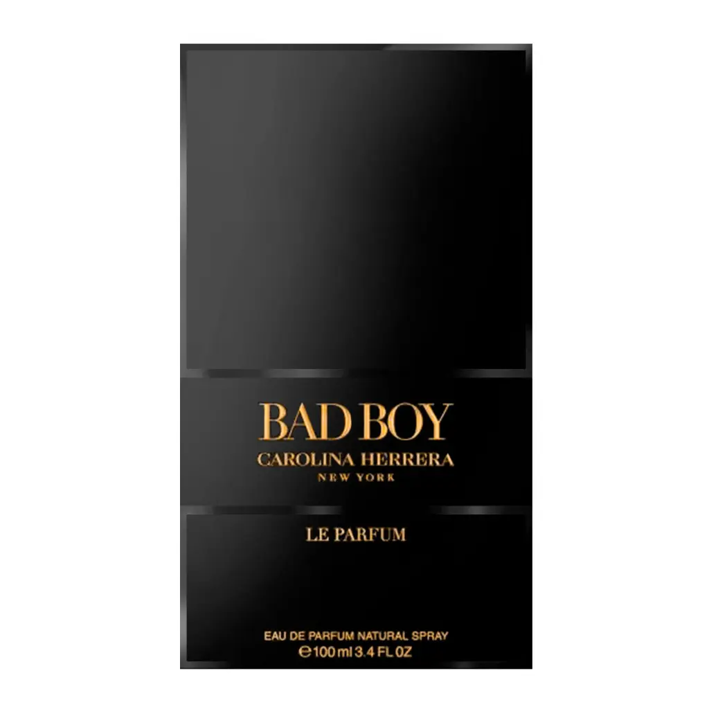 Bad boy 2.webp